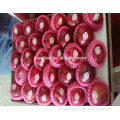 /msite/products/detail/productid/54855489/id/542998.html